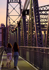 Ponte Hercílio Luz Floripa